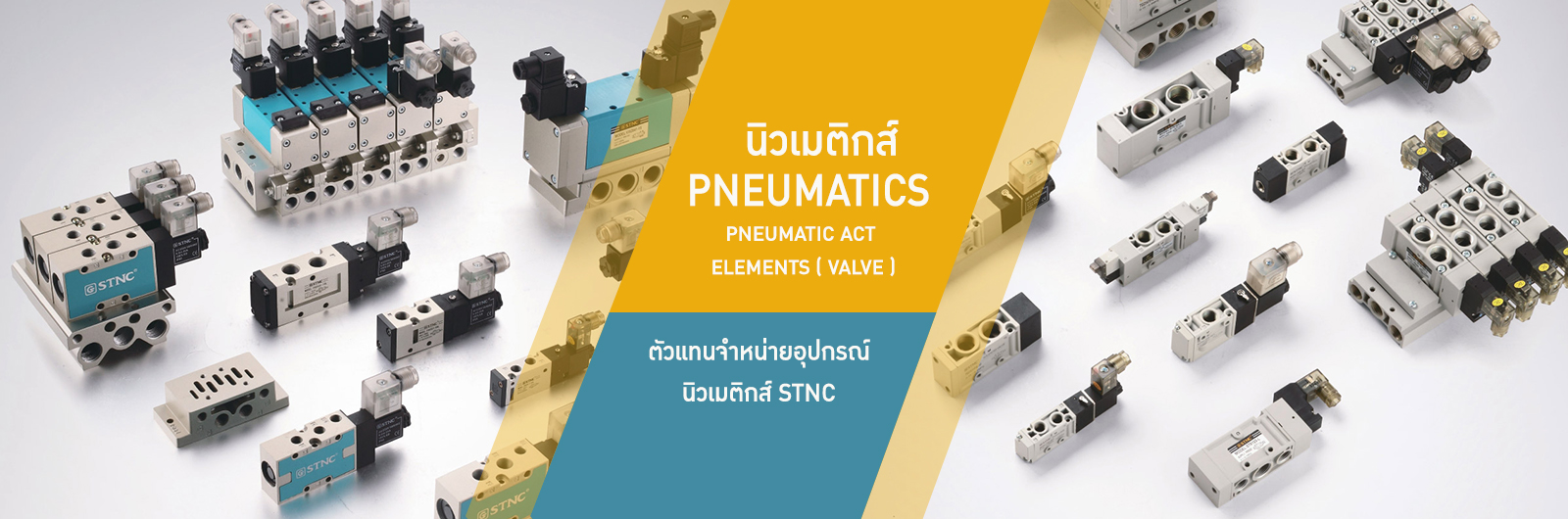 STNC Vietnam